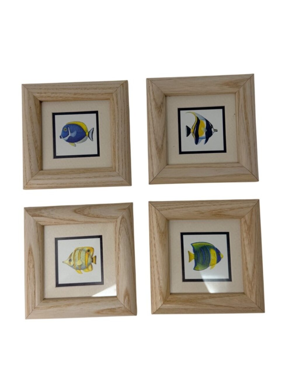 Vintage Tropical Fish Wall Art Set Kathy Seek Miniature‎ Framed Art Prints 1990s